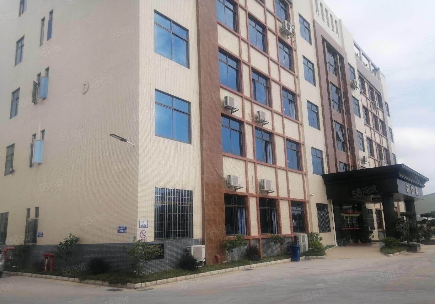 临深原房东园区独栋一到5层7500平全新地坪漆厂房招租 可分