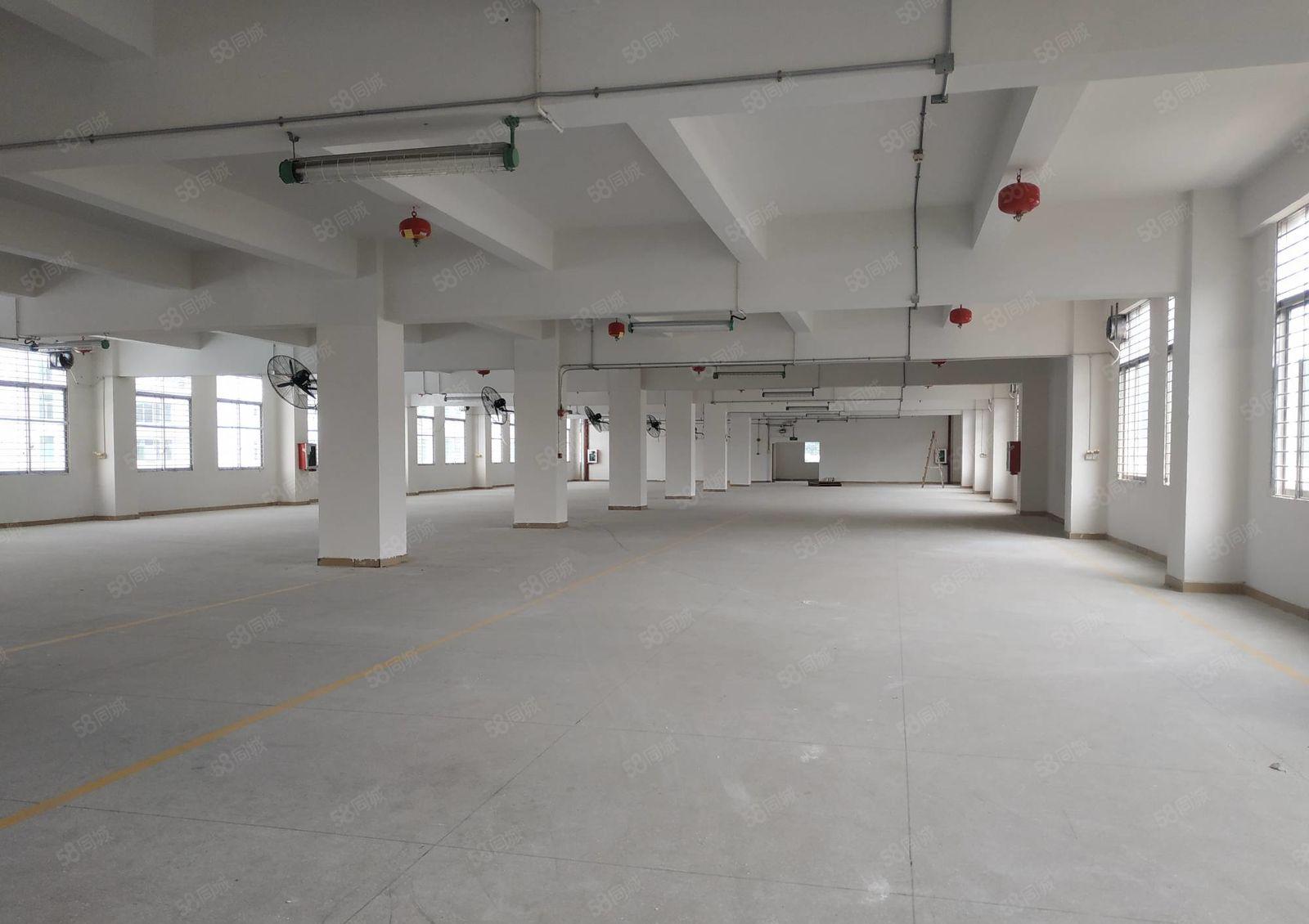 一手使用率 塘朗地鉄口 一楼整层1600平直租