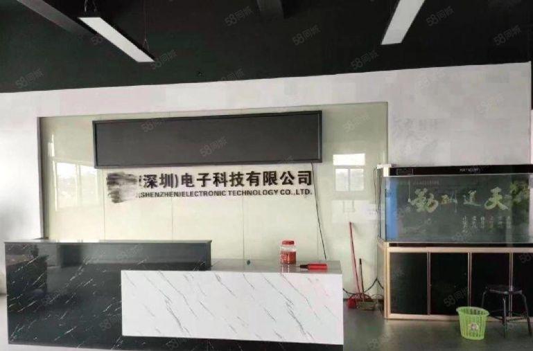 宝安石岩.北环同富裕原房东独院6200带装修新厂房出租仓