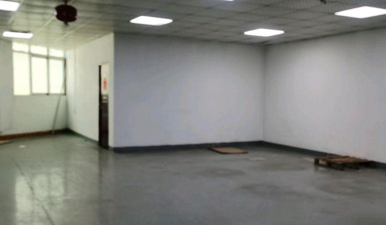 西乡鹤洲380平分租无转让费