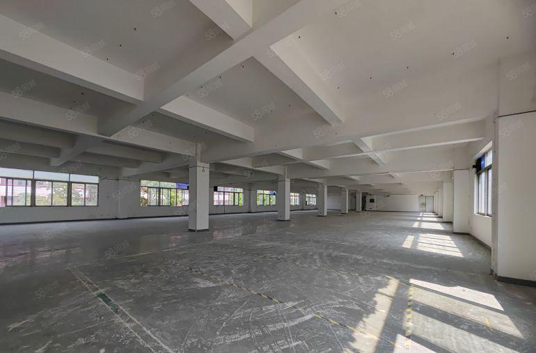 南山西丽高新园区原房东一整层厂房1200平出租500平起分租