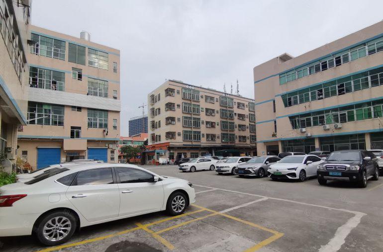 西丽百旺创园原房东独院7800平整层1350平至办公厂房出租