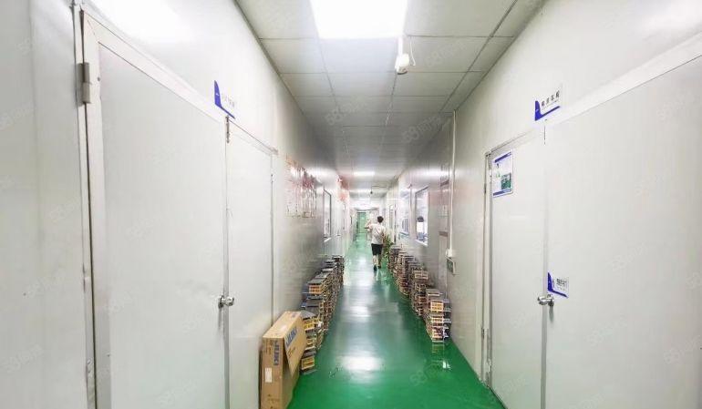 沙井原房东红本厂房整层1500平精装修无转让费出租