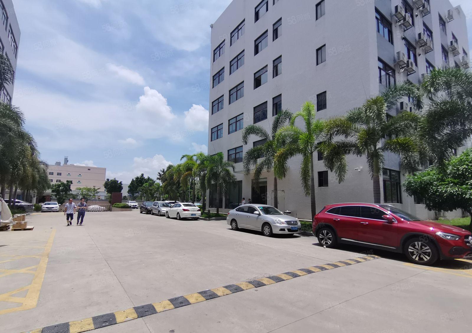 光明12000高新补贴厂 房出租，免租半年1000平起