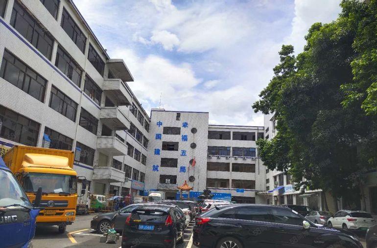 盐田区盐田东海道附近标准一楼500厂房平，楼上小分租170