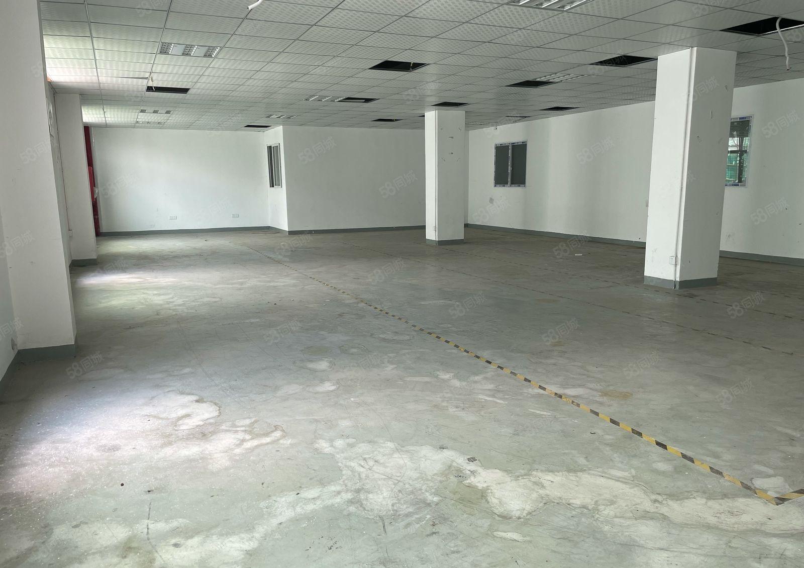 南山西丽地铁口 300至600平办公仓库特价直租