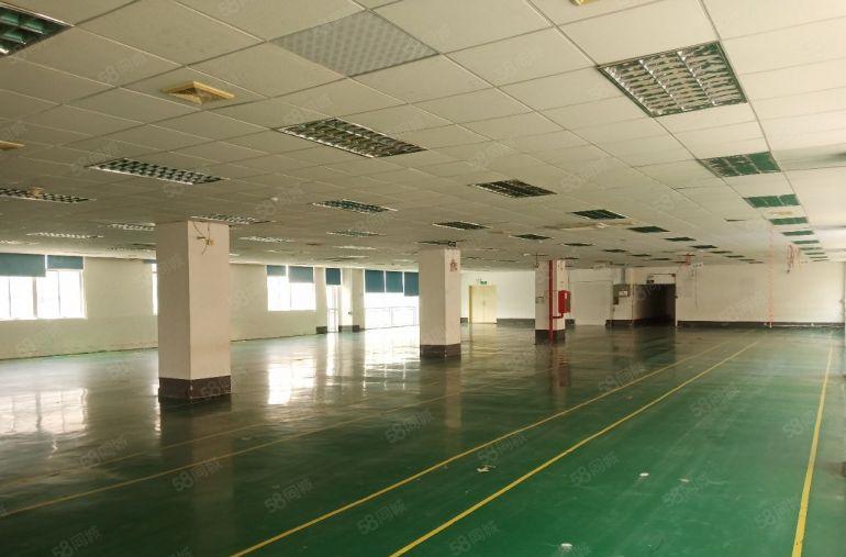 横岗六约地铁口原房东红本2000平厂房出租分租带装修可办环评