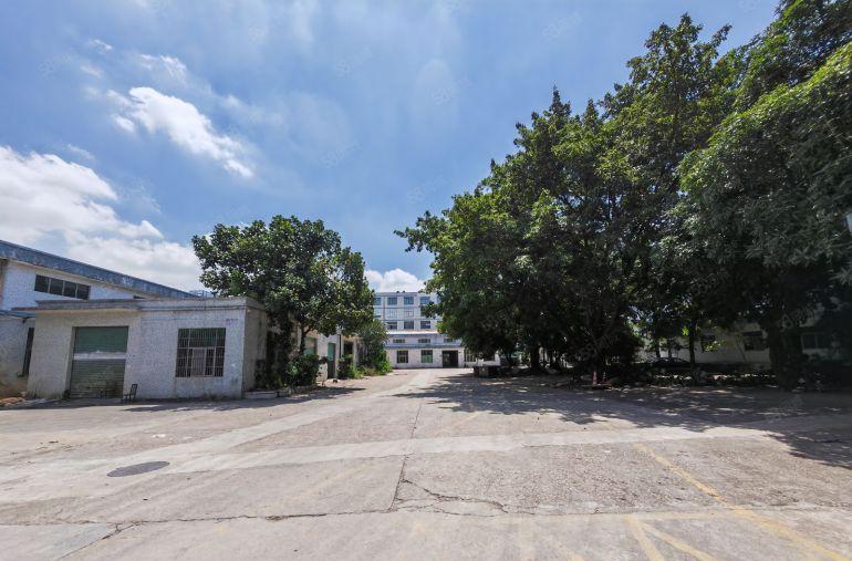 南山西丽原房东独院钢构8000平 空地大好进大车