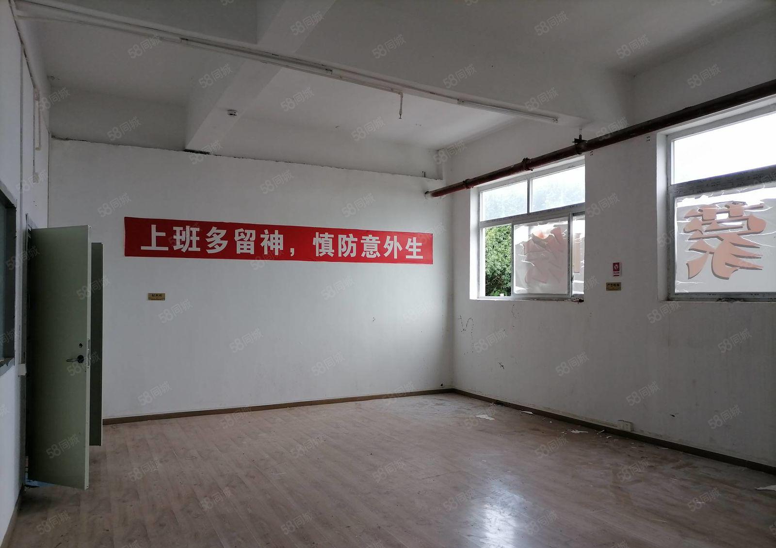 物业直租南山300平物流仓库，适合递物流，配送，食品饮品批发