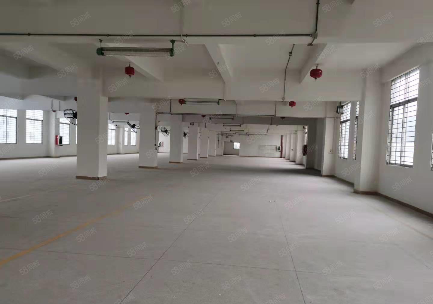 原房东独门独院每层1716平可分租，加工仓储办公等价格好谈