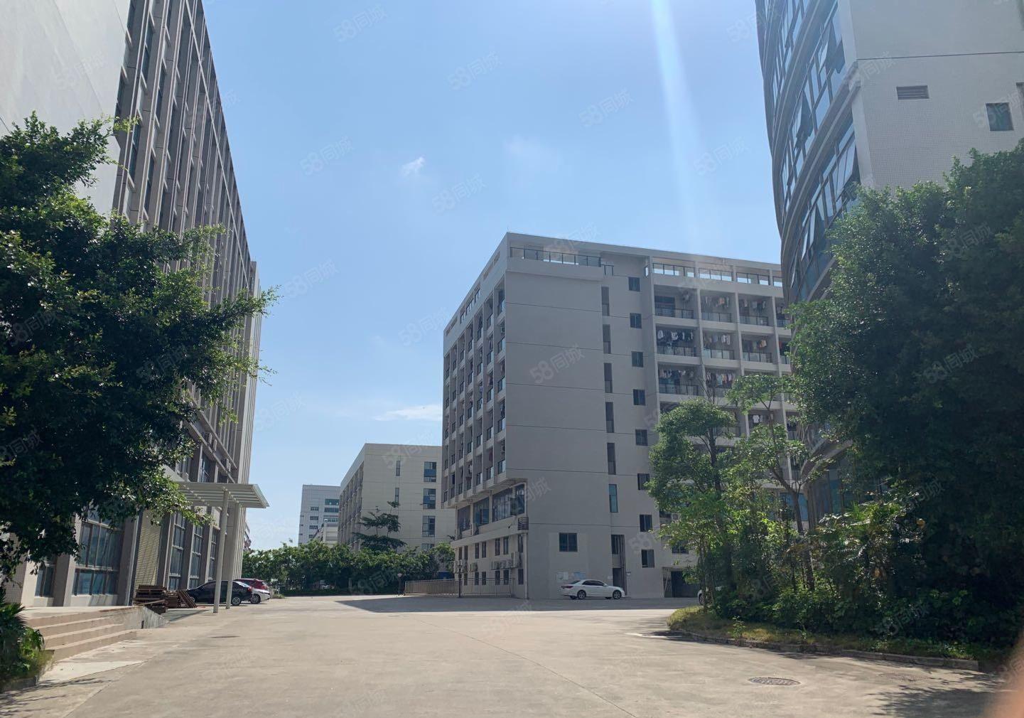 南山西丽精装100至8000平厂房出租办公室仓库可分租