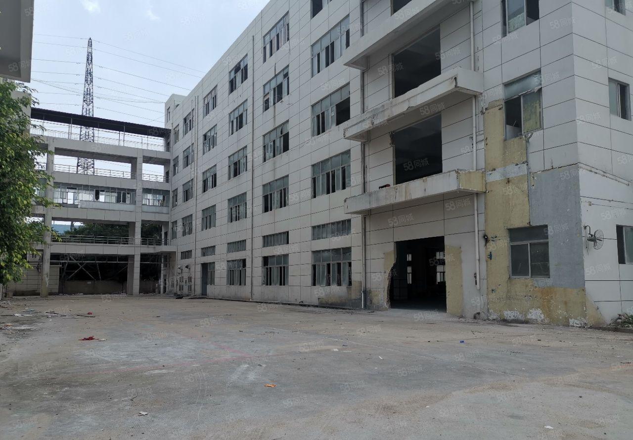 福海国际会展中心6816平方米全新村委厂房业主直租带超大空地