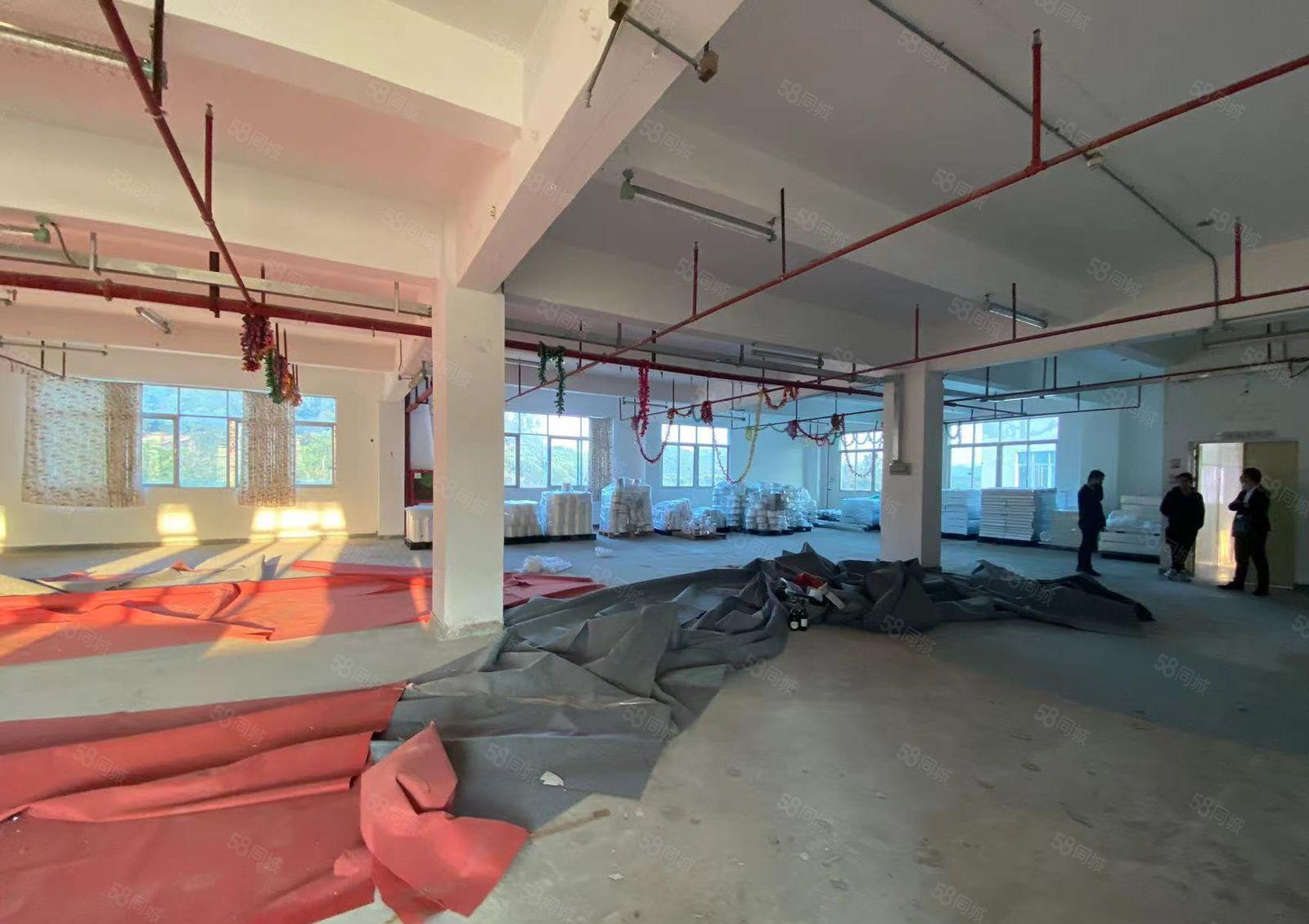 南山西丽麻勘新出原房东整层带喷淋厂房1200平