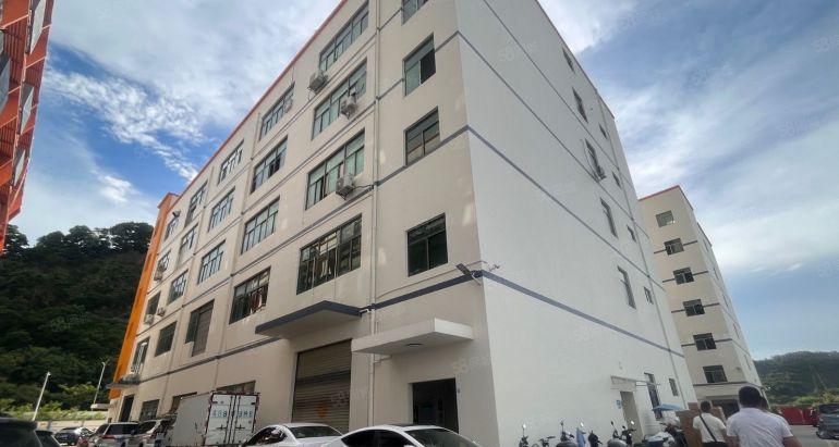 福田八卦岭300平500平1000平起厂房出租 一楼仓库出租