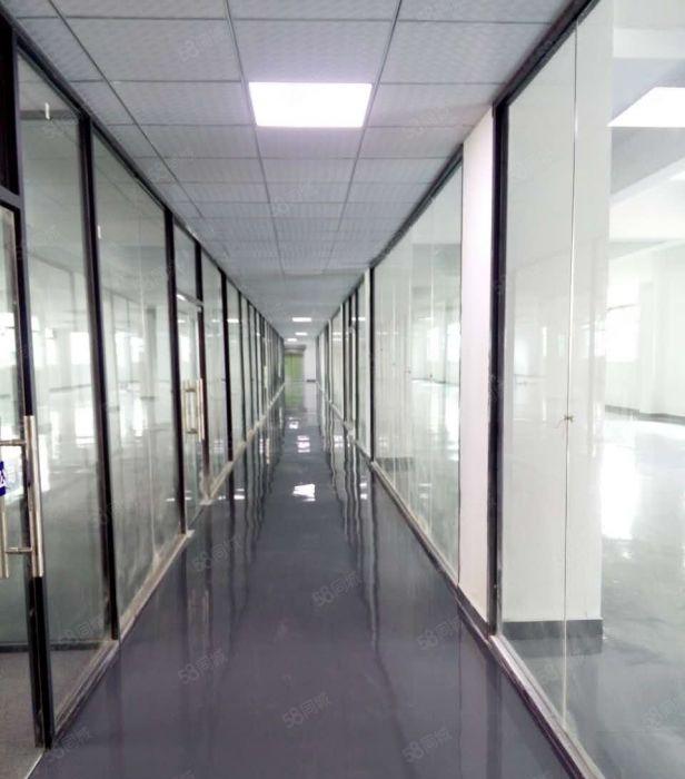 南山西丽地铁站260平带装修仅租35元，电商，组装，生产均可