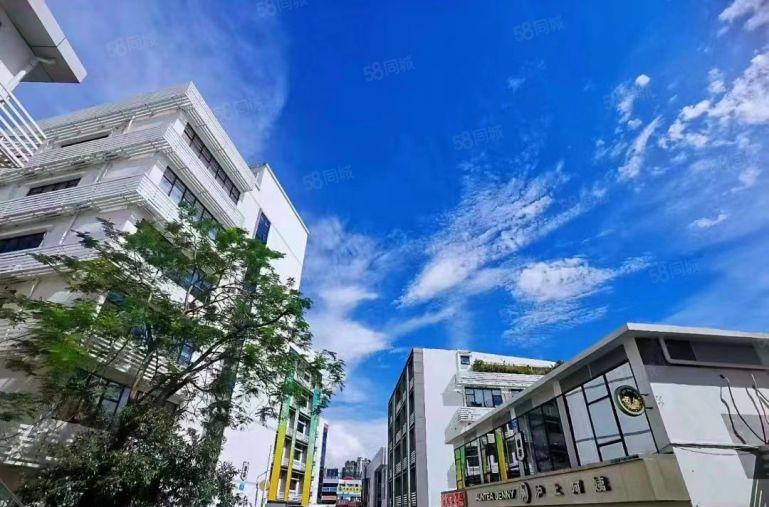 西丽龙珠大道产业园一楼650平招租，不限制行业