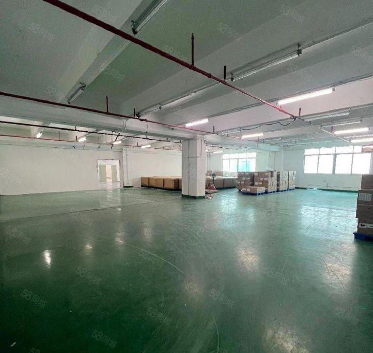 租金32元 面积500平至2千平 南山西丽白芒 百旺阳光厂房