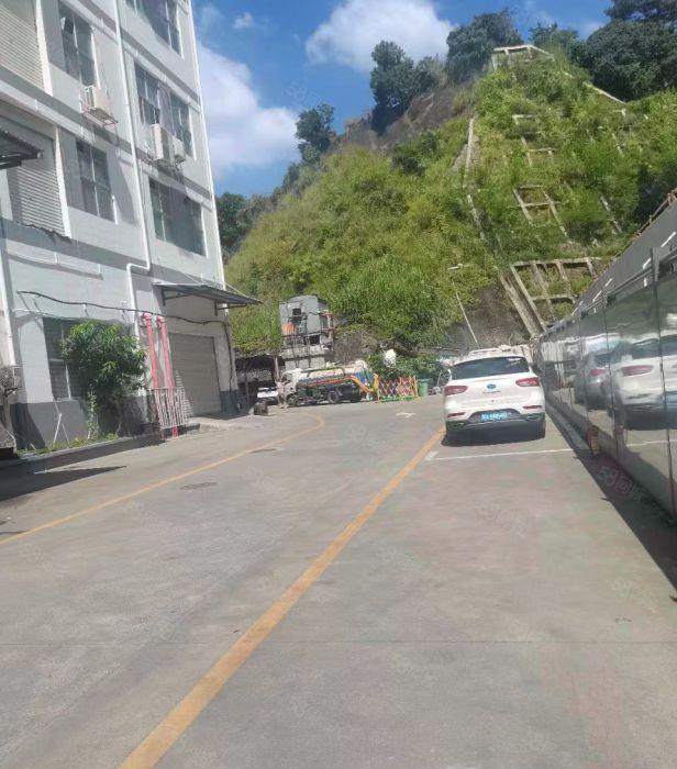 南山西丽伟豪科技园业主直租厂房1楼375平，户型方正，采光好