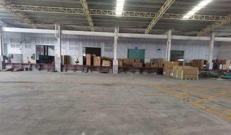 盐田6000平方厂房仓库 低价分租 物流分拨配送中心