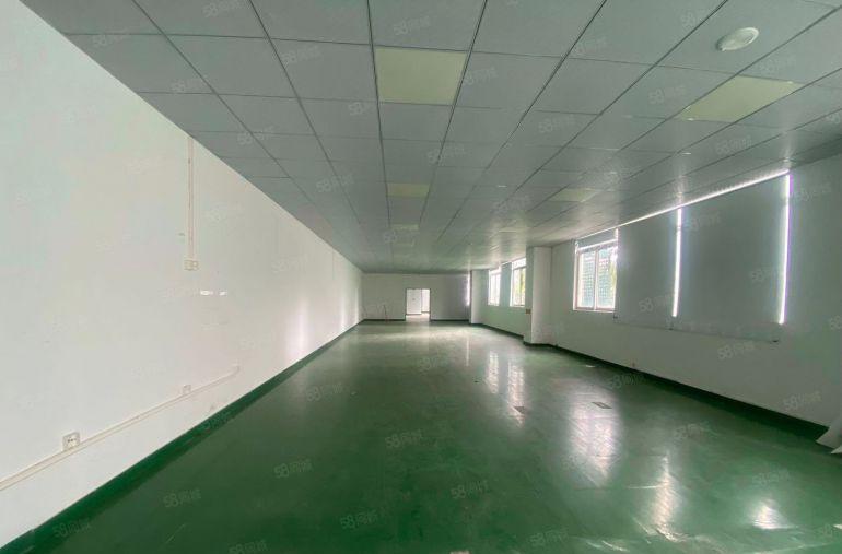 南山西丽留仙洞产业园楼上450,一楼1300平，原房东直租