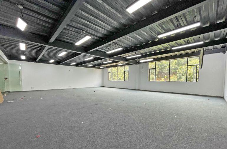 南山西丽 75平到1000平精装办公室 33元一平方