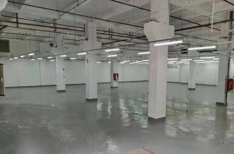 南油一楼层高6.5米特价55出租面积1750平