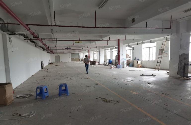 坪山小面积200平厂房出租大小分租，带装修办公室园区招工方便