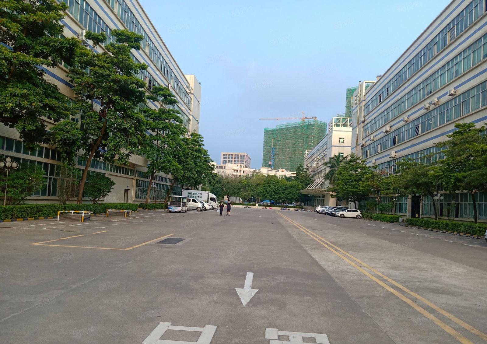 西丽大堪工业区200平至5000平精装办公室电商仓库厂房出租