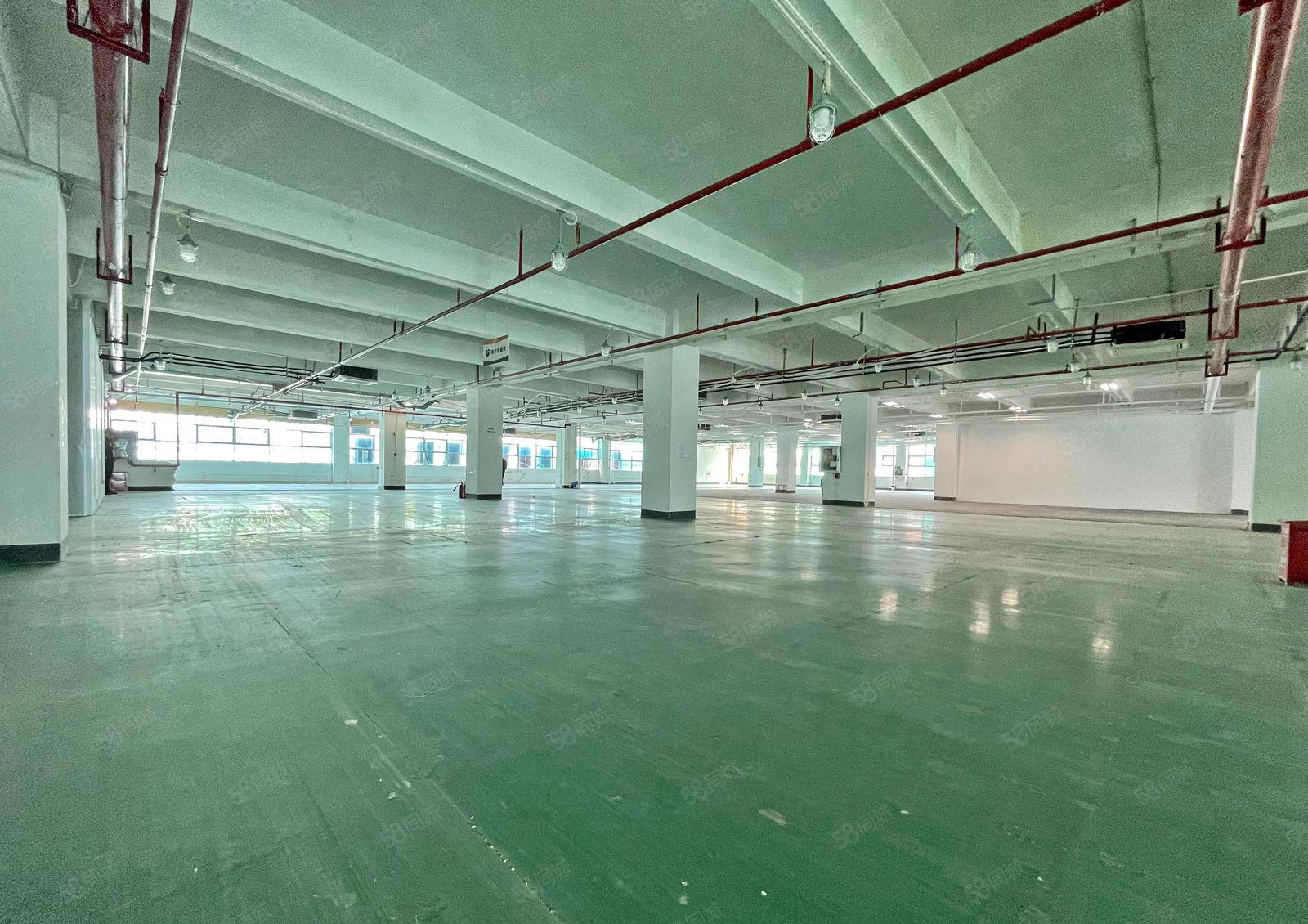 南山西丽 智能制造产业厂房2124平方 带装修 行业不限