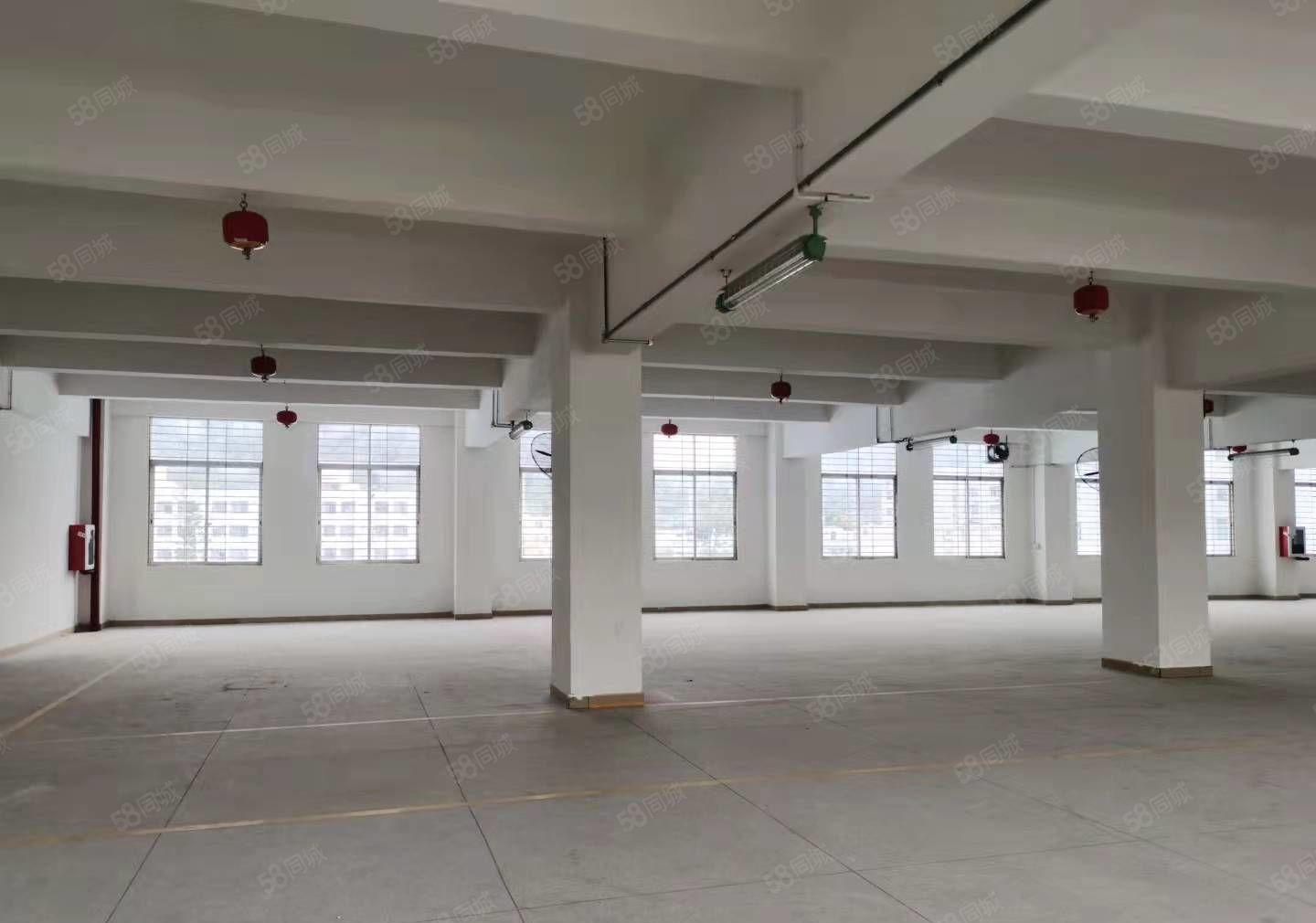 原房东独门独院每层1716平可分租，加工仓储办公等价格好谈