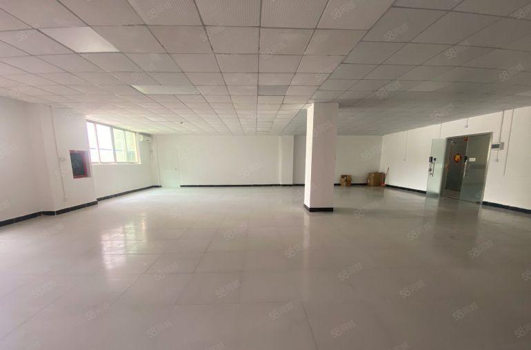 南山西丽地铁站289，350平带装修电商，组装，生产均可