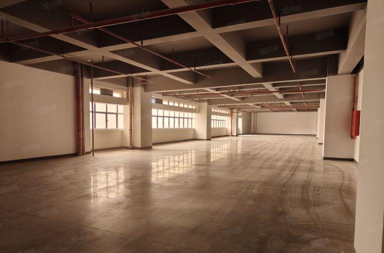 一楼厂房出租仓库低价沙头角保税区200至6000平独栋厂出