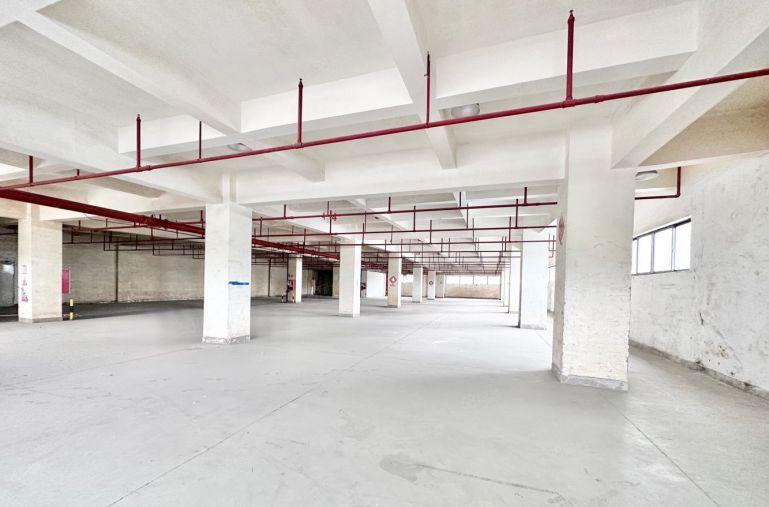 罗湖清水河工业园厂房出租单层5500平办公加工生产仓储可分租