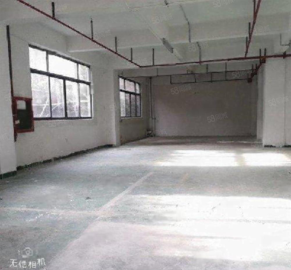 南山西丽创意园320平装修 一楼1100平350平带卸货平台