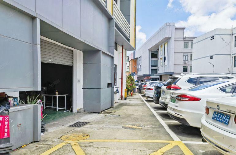 南山西丽，新出一楼315平，层高5.5米，可组合650平