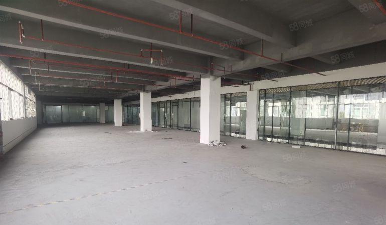 定制装修1000平厂房办公室 可以分租 西丽大学城地铁口