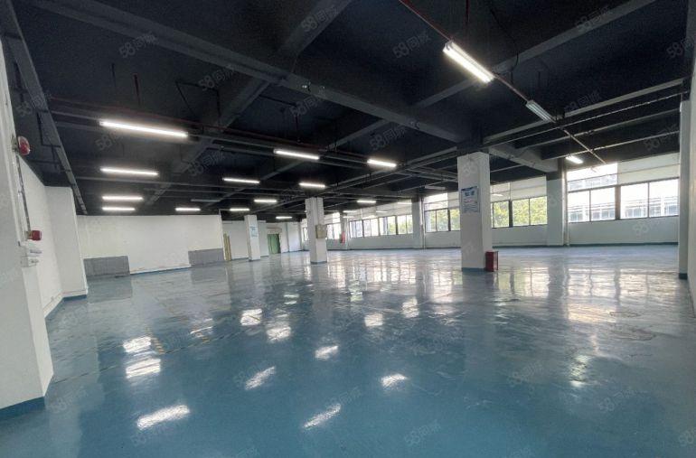 西丽百旺创新园 独院整层1350平至7800平 办公厂房分租