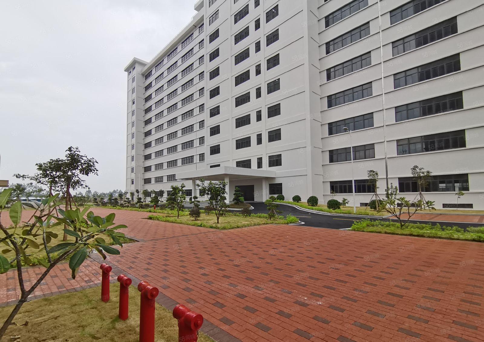 坪山原房东 全新厂房出租200平分 5百1千5千任意分租