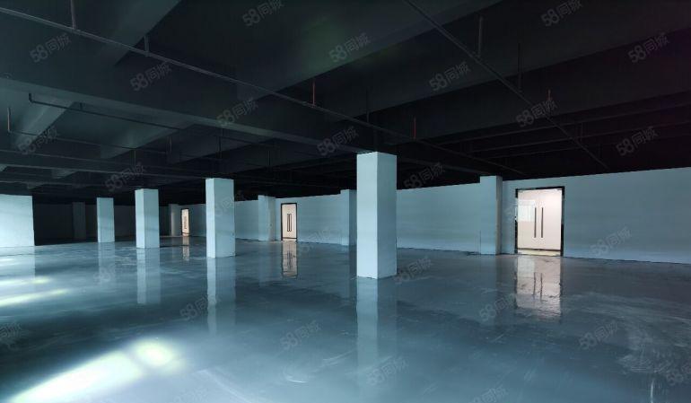 南山西丽高薪智能产业园500，1000平大小可分租，仅29元