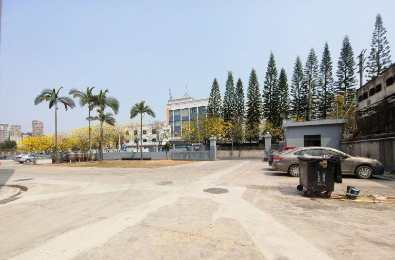 东莞塘厦镇6000平方原房东红本厂房仓库低价出租500平分