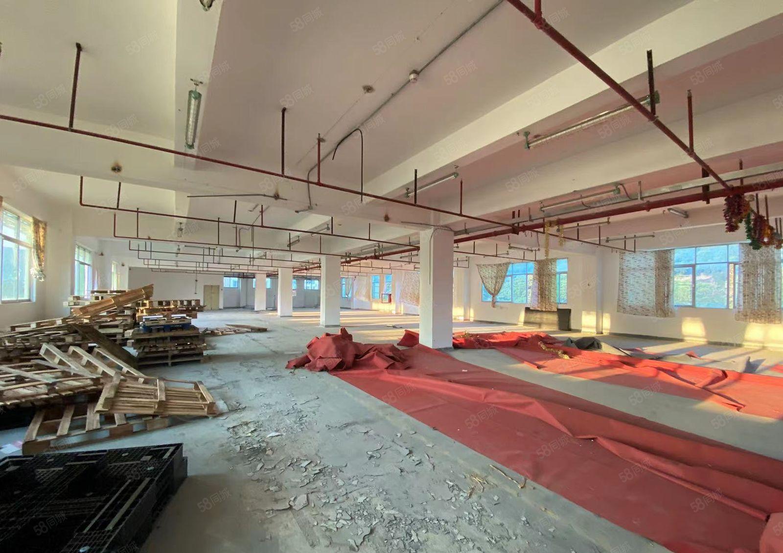 南山西丽麻勘新出原房东整层带喷淋厂房1200平