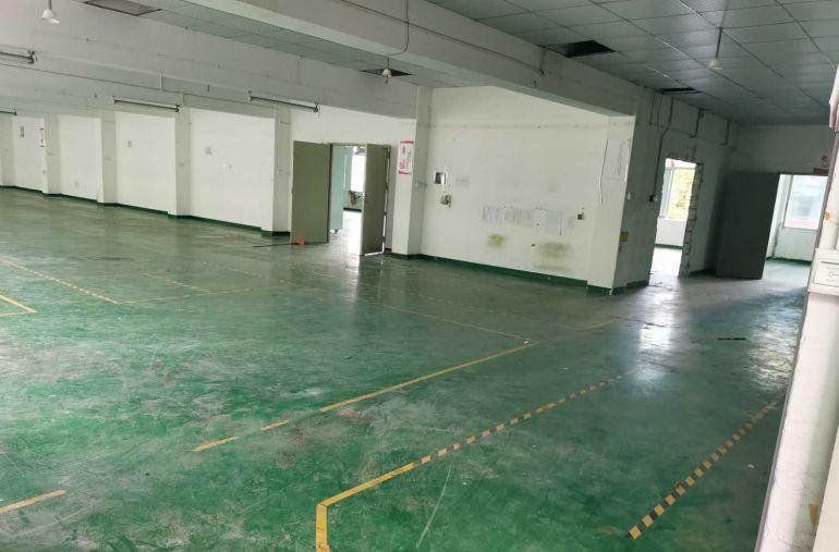 靠近清湖厂房低价招租  独门独院 二楼带装修1150平起