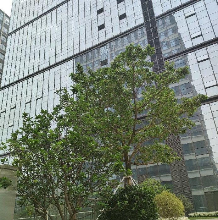 免租-3-6个月，享受特色产业园补贴政策