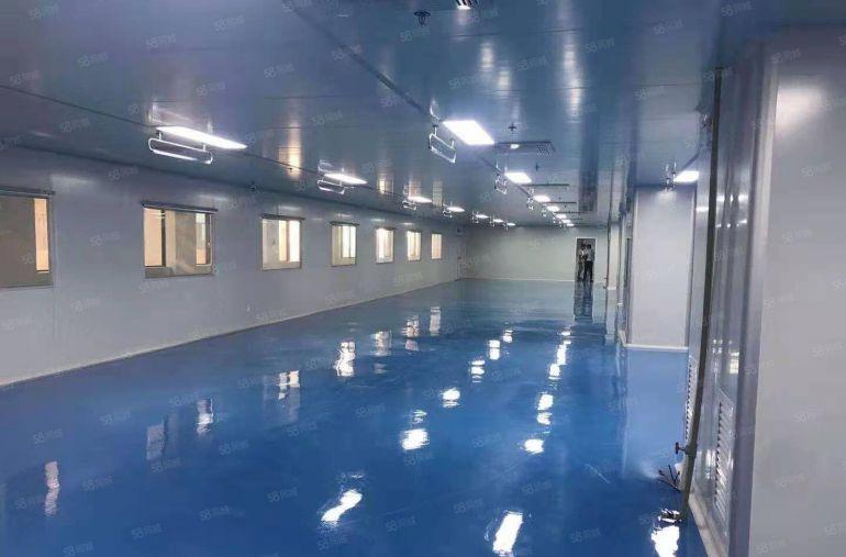 16块一平距离深圳盐田港8公里200平起分租共2万平高7米