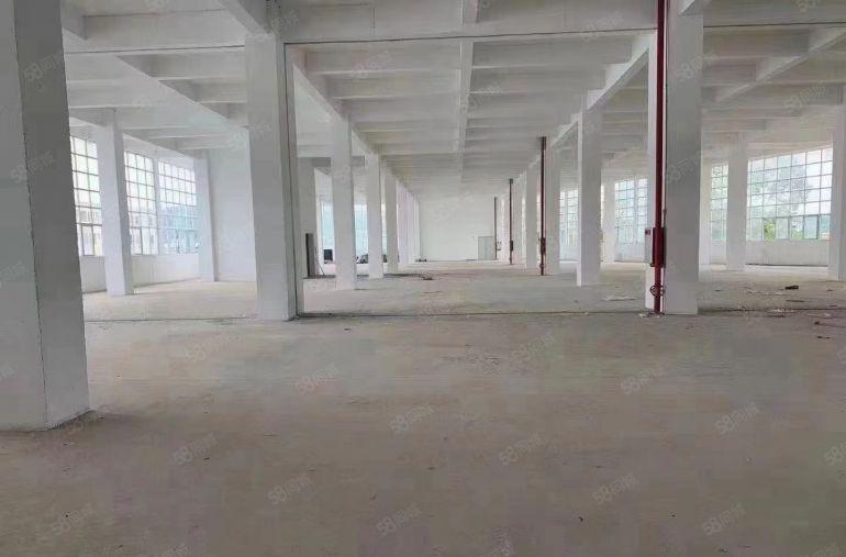 南山西丽厂房出租 大小面积可分 性价比高  交通便利 随时看