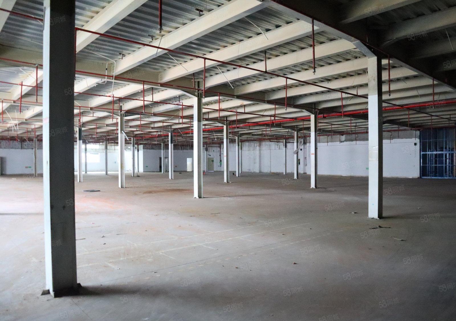 南山松白路原房东大面积百旺创意工厂停车位充足4000平可分