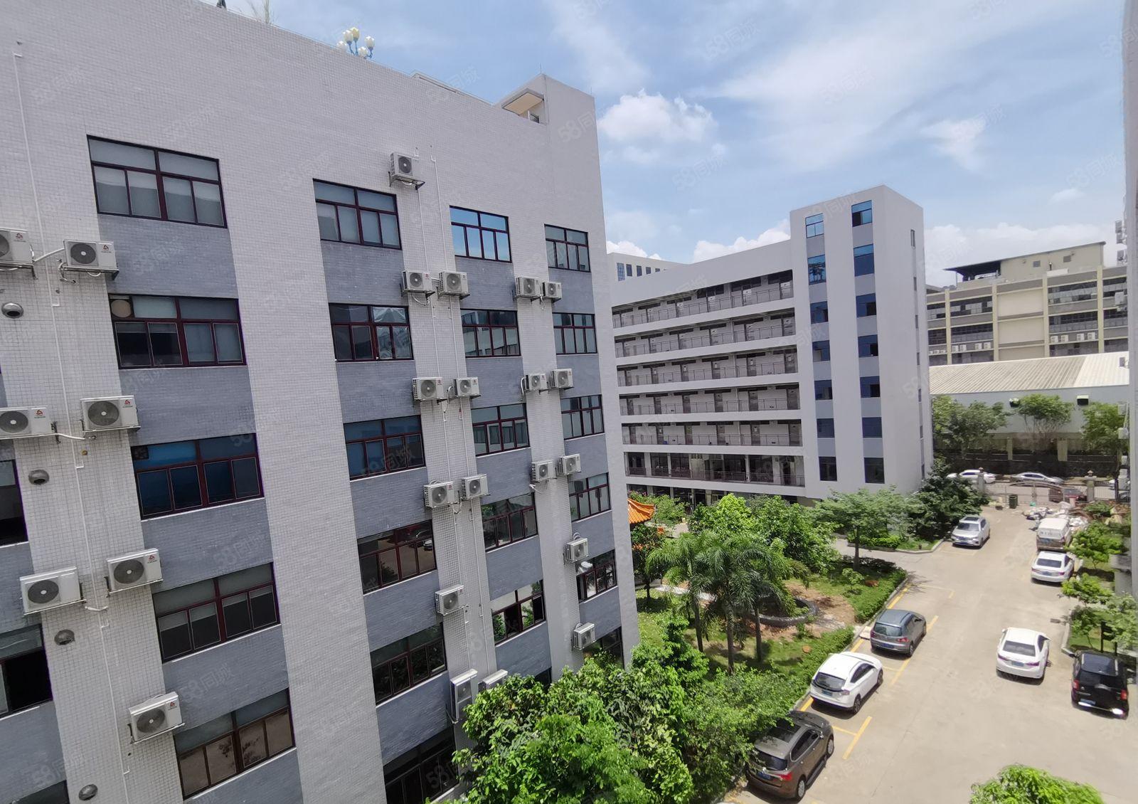 光明12000高新补贴厂 房出租，免租半年1000平起