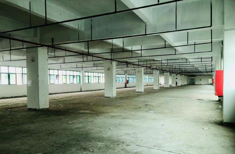 坂田厂房出租300至5000平自由组合，适合办公，生产都可以