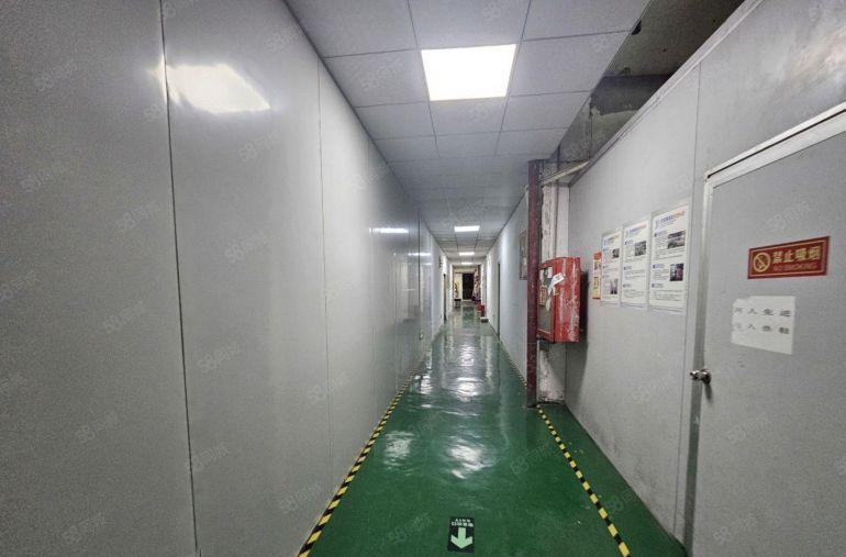 深圳南山西丽厂房800平原房东厂房出租 带装修空地大车位充足