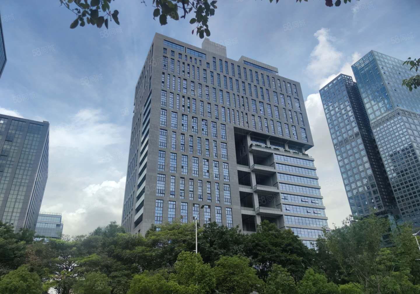 光明区政府支持项目甲级高新研发厂房写字楼免租6个月大小可分租